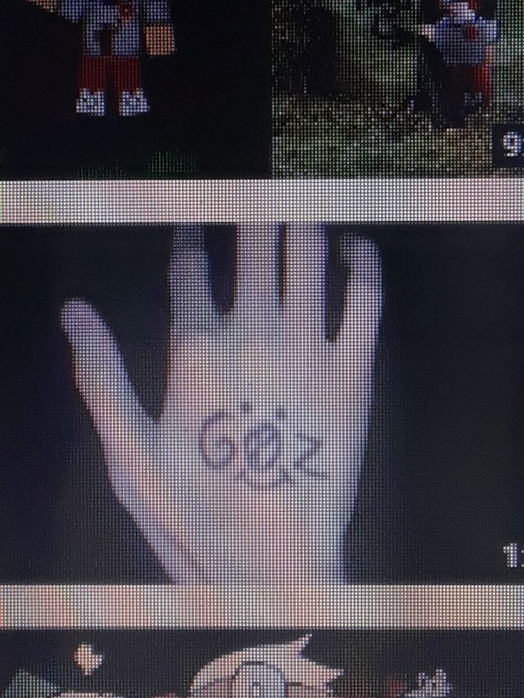 zook